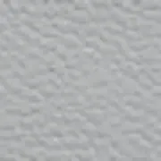 جلد أخضر غابي