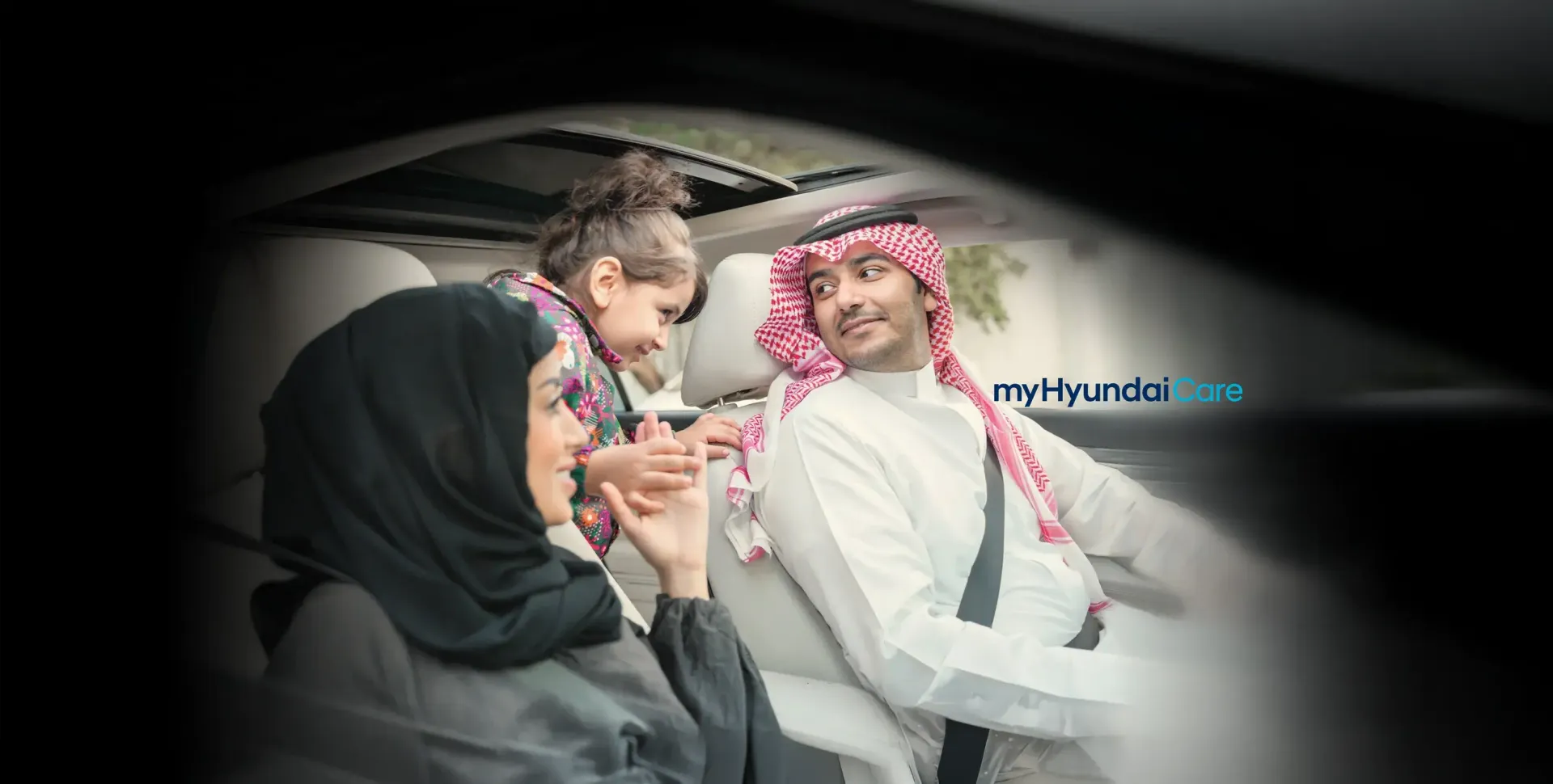 Hyundai Sanity System
